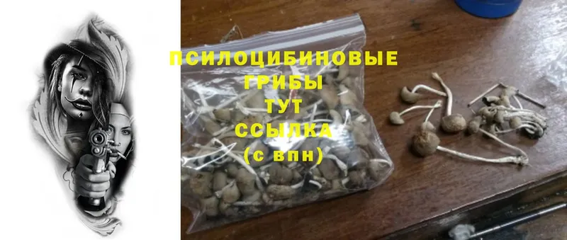 Галлюциногенные грибы Magic Shrooms  Верхотурье 